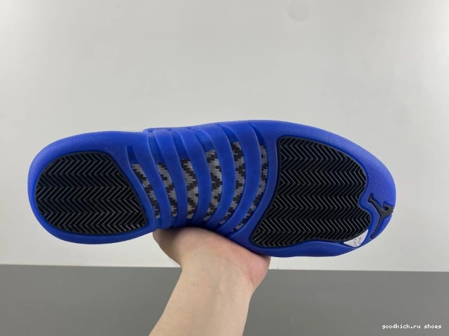 Cheap Jordan 12 Air Blueberry CT8013-140 0725